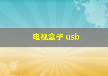 电视盒子 usb